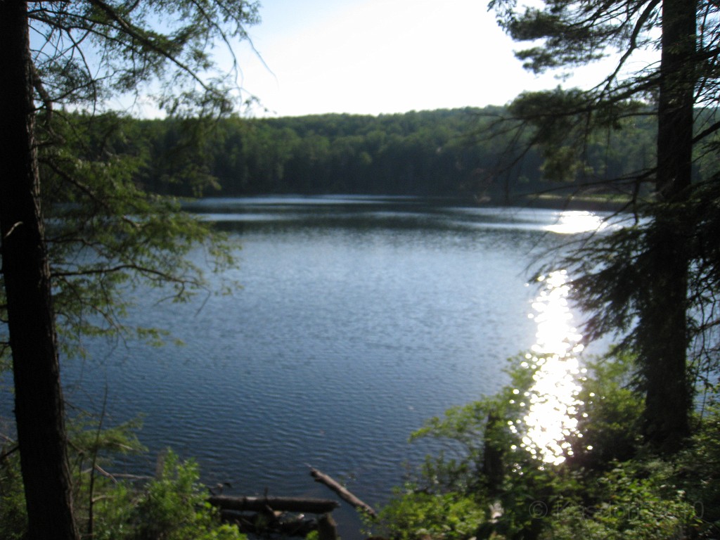 Elwell Trail NH 2010 280.jpg - The Elwell Trail North of Bristol NH, runs along Newfound Lake. The trail goes to Little and Big Sugarloaf mountains. Supposedly it also connects to Mt Cardigan. May 2010.